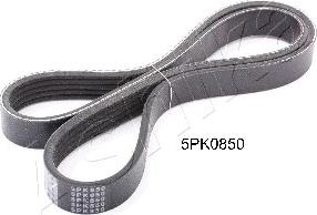 Ashika 112-5PK850 - V formos rumbuoti diržai xparts.lv