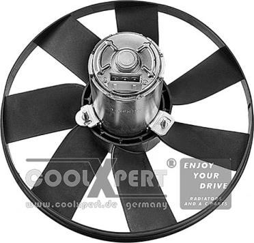 BBR Automotive 002-60-01989 - Fan, radiator xparts.lv