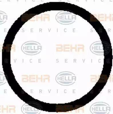 BEHR HELLA Service 8FK 351 124-081 - Compressor, air conditioning xparts.lv