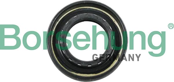 Borsehung B12194 - Shaft Seal, manual transmission xparts.lv