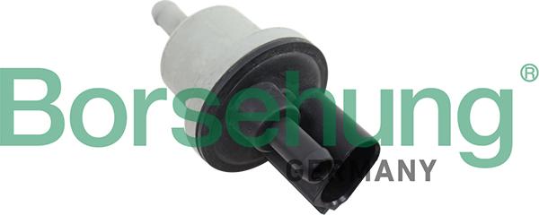 Borsehung B12188 - Valve, activated carbon filter xparts.lv