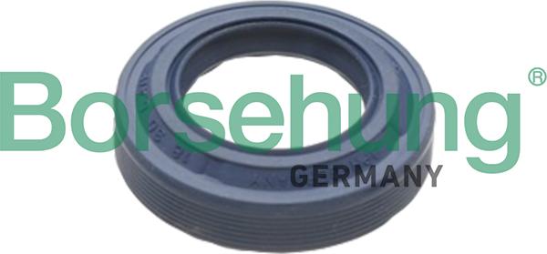 Borsehung B17828 - Shaft Seal, differential xparts.lv