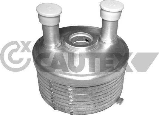 Cautex 462523 - Eļļas radiators, Motoreļļa xparts.lv