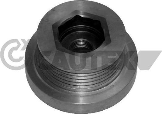 Cautex 020956 - Pulley, alternator, freewheel clutch xparts.lv