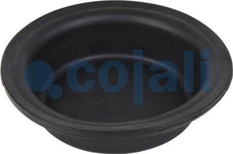 Cojali 6001117 - Membrane, spring-loaded cylinder xparts.lv