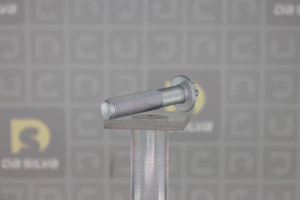 DA SILVA PLK036 - Комплект болтов ременного шкива, коленчатый вал xparts.lv