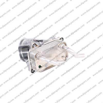Dipasport RAO034N - Oil Cooler, engine oil xparts.lv