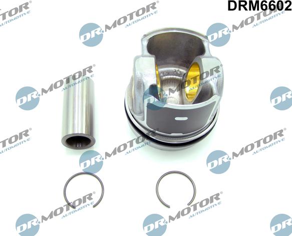Dr.Motor Automotive DRM6602 - Partial Engine xparts.lv