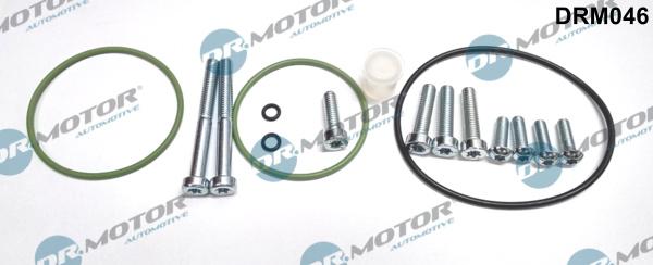 Dr.Motor Automotive DRM046 - Repair Set, vacuum pump (braking system) xparts.lv