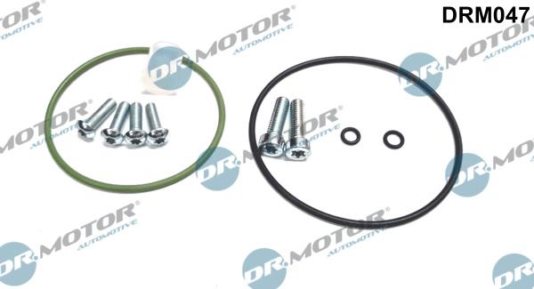 Dr.Motor Automotive DRM047 - Repair Set, vacuum pump (braking system) xparts.lv