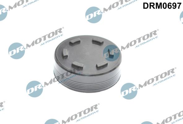 Dr.Motor Automotive DRM0697 - Locking Cover, camshaft xparts.lv