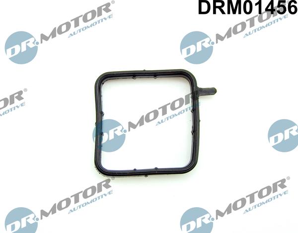 Dr.Motor Automotive DRM01456 - Seal, coolant pipe xparts.lv