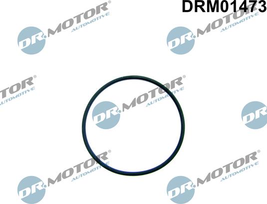 Dr.Motor Automotive DRM01473 - Tarpiklis, degalų siurblys xparts.lv
