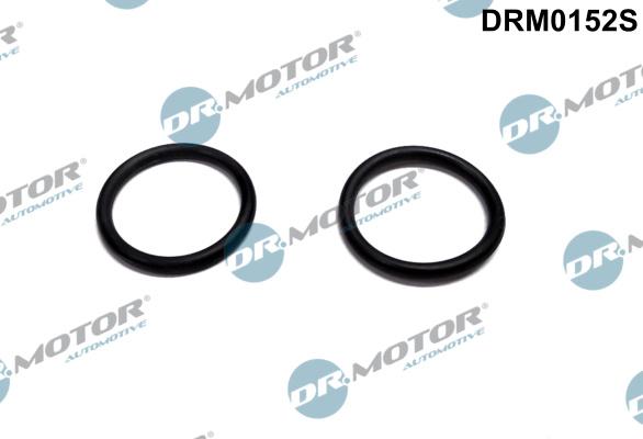 Dr.Motor Automotive DRM0152S - Gasket, intake air preheating heater flange xparts.lv