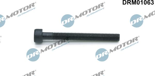Dr.Motor Automotive DRM01063 - Болт, крепление форсунки xparts.lv