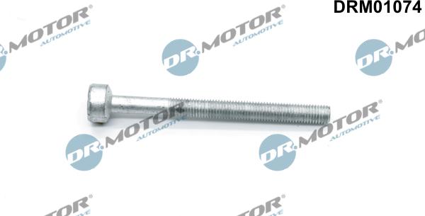 Dr.Motor Automotive DRM01074 - Screw, injection nozzle holder xparts.lv