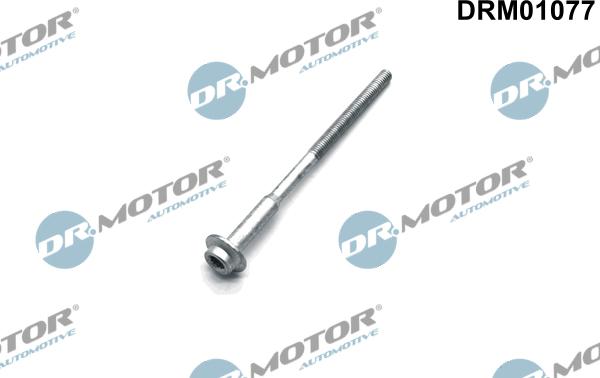 Dr.Motor Automotive DRM01077 - Болт, крепление форсунки xparts.lv