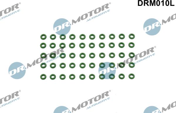 Dr.Motor Automotive DRM010L - Прокладка, корпус форсунки xparts.lv