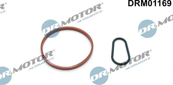 Dr.Motor Automotive DRM01169 - Tarpiklių rinkinys, vakuuminis siurblys xparts.lv