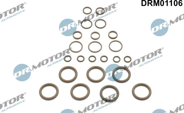 Dr.Motor Automotive DRM01106 - Repair Kit, air conditioning xparts.lv