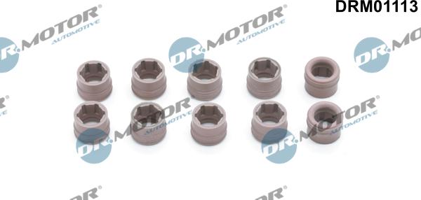 Dr.Motor Automotive DRM01113 - Ремонтный комплект, кондиционер xparts.lv