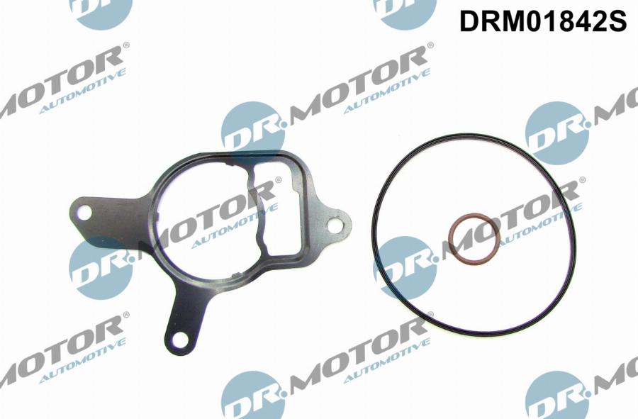 Dr.Motor Automotive DRM01842S - Seal Set, vacuum pump xparts.lv