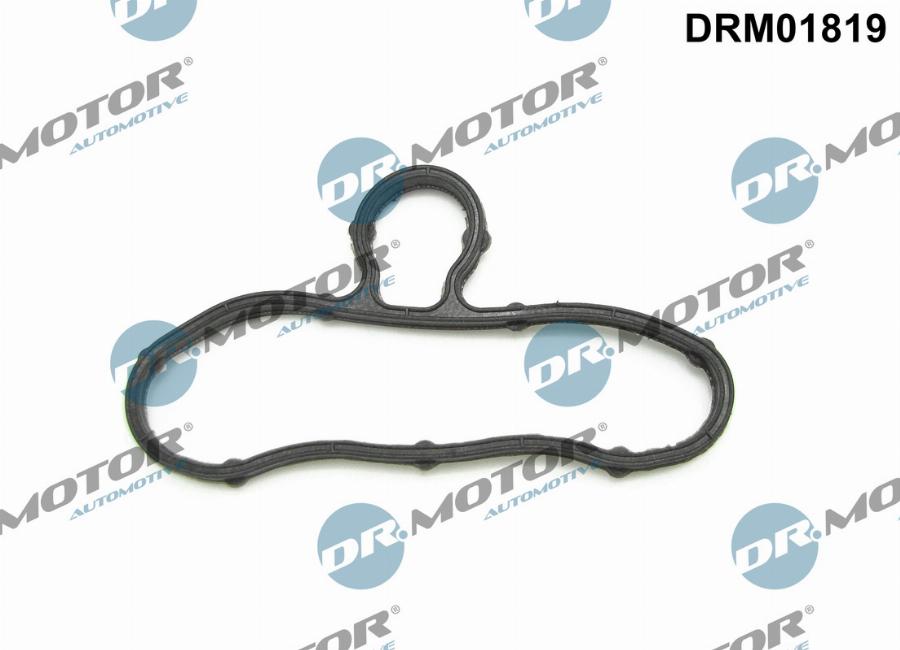 Dr.Motor Automotive DRM01819 - Gasket, timing case cover xparts.lv