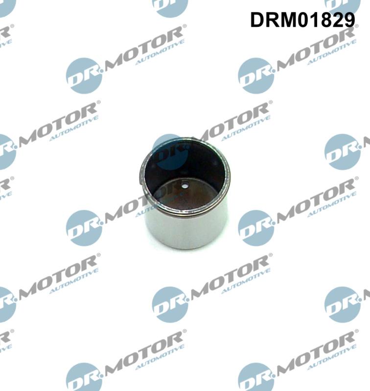 Dr.Motor Automotive DRM01829 - Plunger, high pressure pump xparts.lv