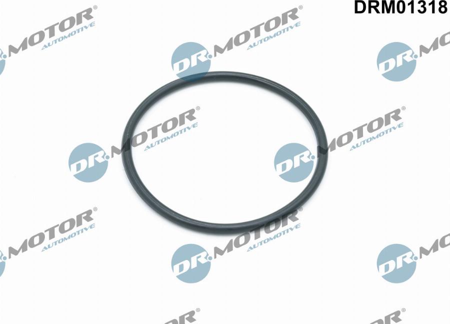 Dr.Motor Automotive DRM01318 - Прокладка, корпус маслянного фильтра xparts.lv