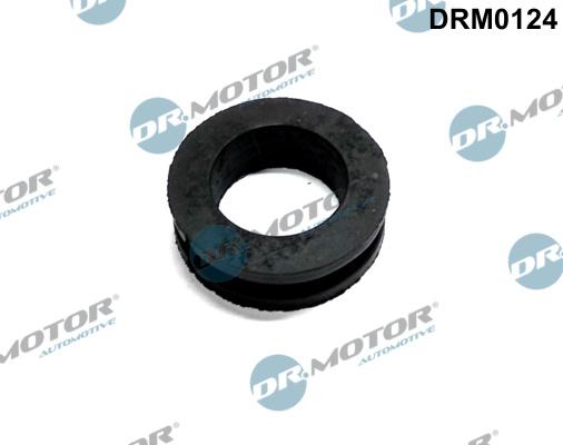 Dr.Motor Automotive DRM0124 - Прокладка, вентиляция картера xparts.lv