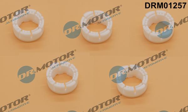 Dr.Motor Automotive DRM01257 - Втулка, шток вилки переключения xparts.lv