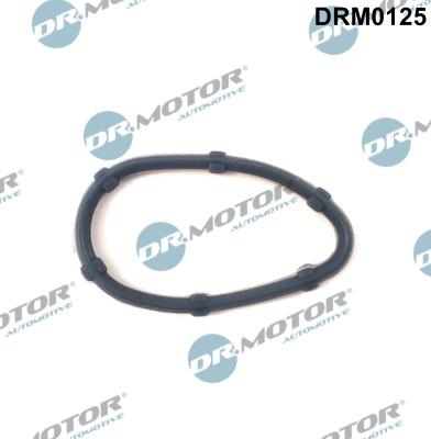Dr.Motor Automotive DRM0125 - Tarpiklis, variklio karterio alsuoklis xparts.lv