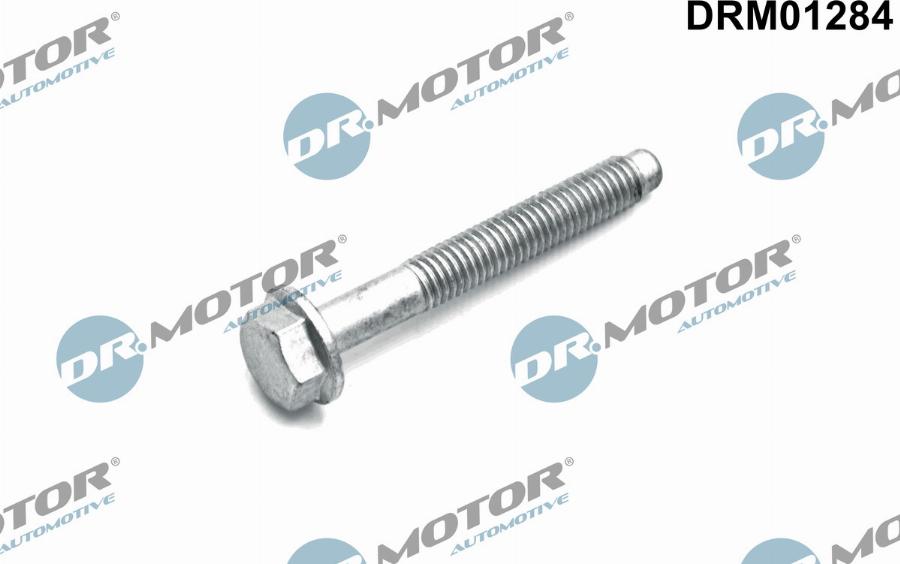 Dr.Motor Automotive DRM01284 - Болт, крепление форсунки xparts.lv