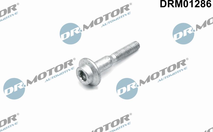 Dr.Motor Automotive DRM01286 - Болт, крепление форсунки xparts.lv
