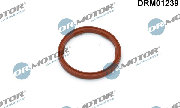 Dr.Motor Automotive DRM01239 - Seal Ring, engine oil level sensor xparts.lv