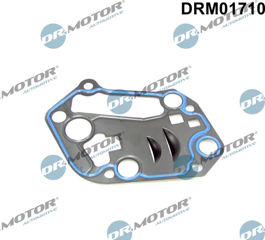Dr.Motor Automotive DRM01710 - Seal, oil filter housing xparts.lv