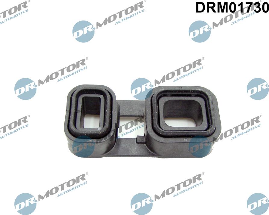 Dr.Motor Automotive DRM01730 - Oil Seal, automatic transmission xparts.lv