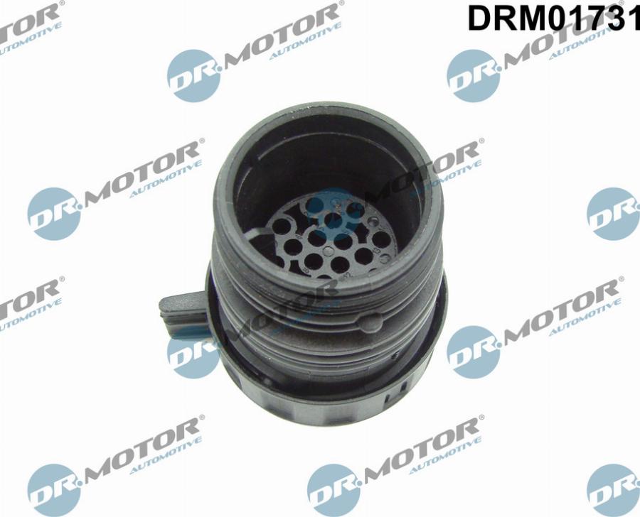 Dr.Motor Automotive DRM01731 - Штекерный корпус, автоматическ. коробка передач - ус-во упр. xparts.lv