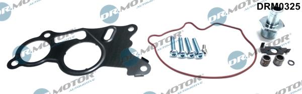 Dr.Motor Automotive DRM0325 - Repair Set, vacuum pump (braking system) xparts.lv