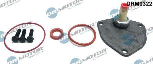 Dr.Motor Automotive DRM0322 - Repair Set, vacuum pump (braking system) xparts.lv