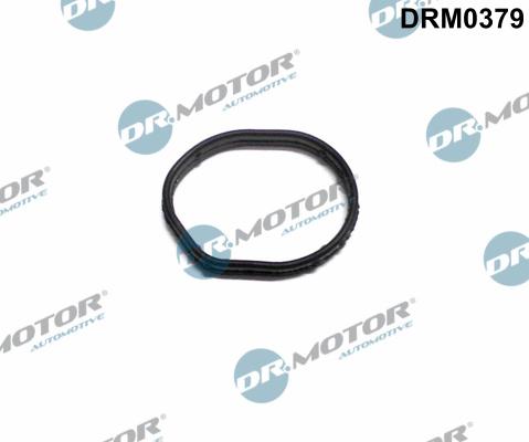 Dr.Motor Automotive DRM0379 - Gasket, timing case cover xparts.lv