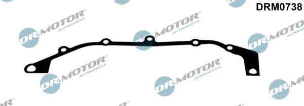 Dr.Motor Automotive DRM0738 - Gasket, timing case cover xparts.lv