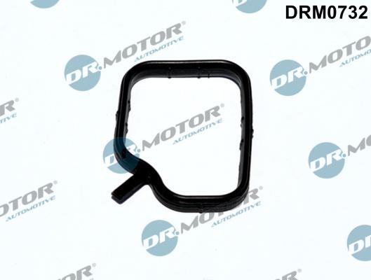 Dr.Motor Automotive DRM0732 - Seal, coolant pipe xparts.lv