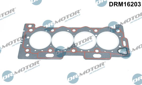 Dr.Motor Automotive DRM16203 - Gasket, cylinder head xparts.lv