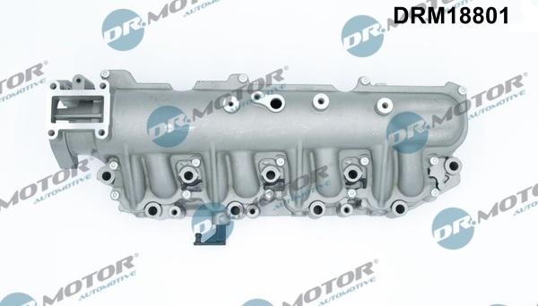 Dr.Motor Automotive DRM18801 - Įsiurbimo kolektoriaus modulis xparts.lv
