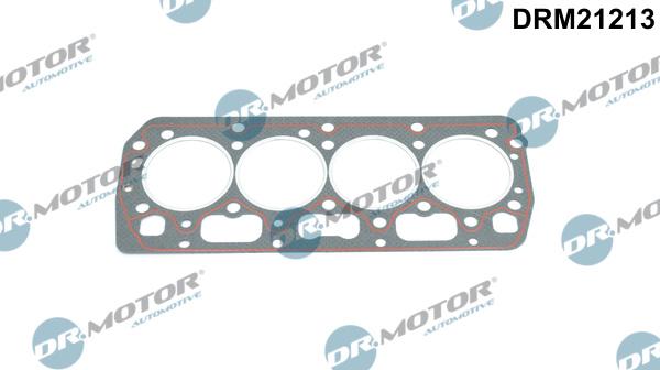 Dr.Motor Automotive DRM21213 - Gasket, cylinder head xparts.lv