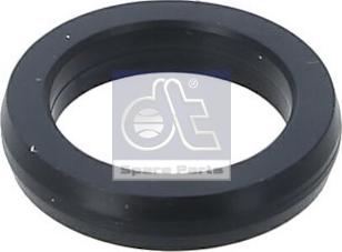 DT Spare Parts 2.15060 - Seal Ring, coolant tube xparts.lv