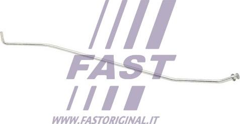 Fast FT95902 - Variklio dangčio fiksatorius xparts.lv