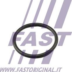 Fast FT49917 - Gasket, thermostat xparts.lv