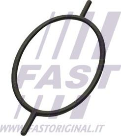 Fast FT49923 - Прокладка, вакуумный насос xparts.lv